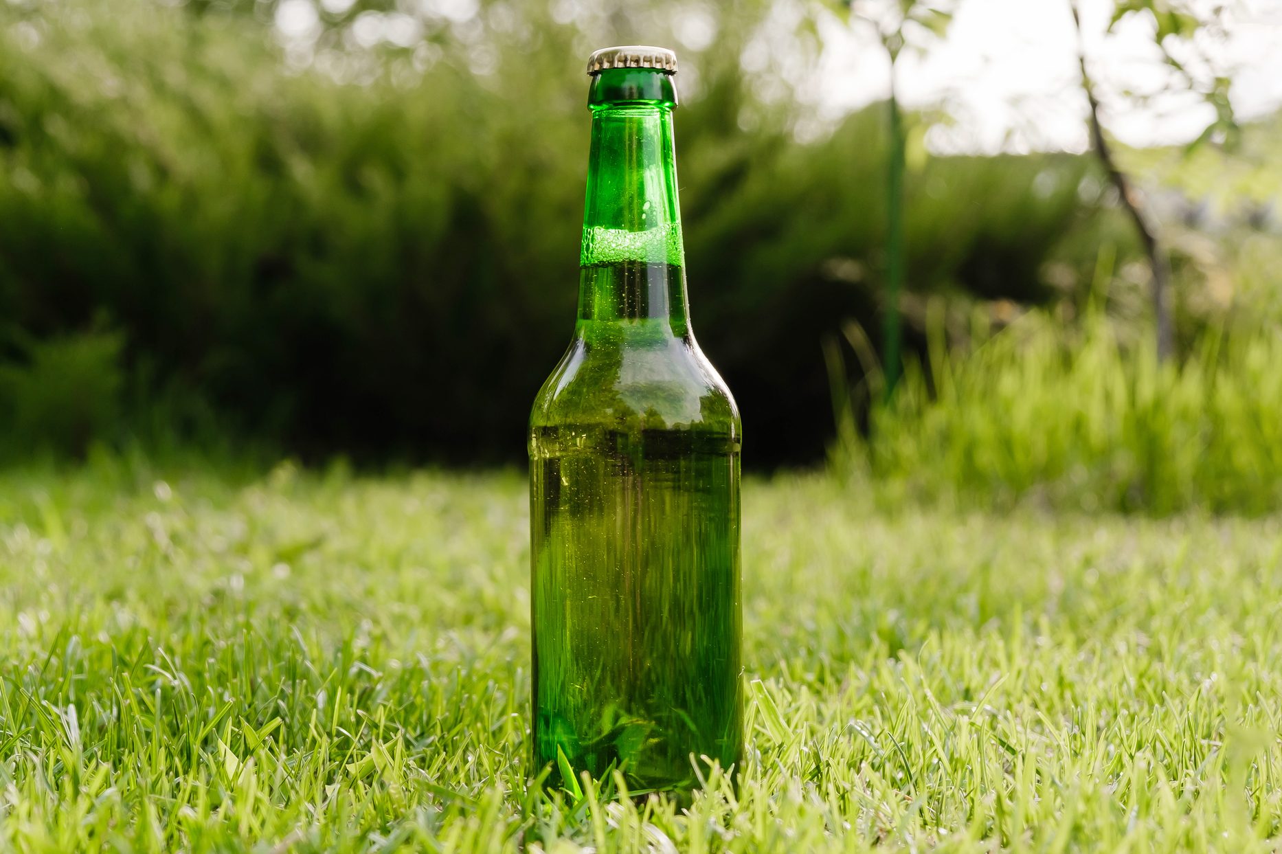 Fertilizing Your Lawn with Beer — Is It a Lawn Care Hack or Hoax?