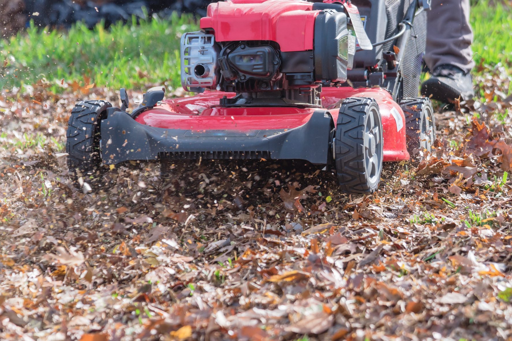Here’s Why Mowing Leaves Is Better Than Raking Them