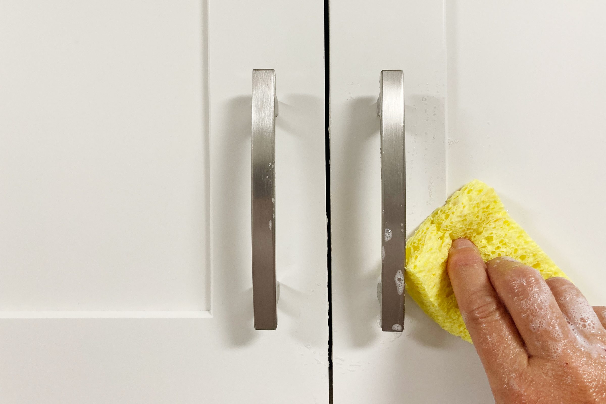 Soap And Water Sponge 