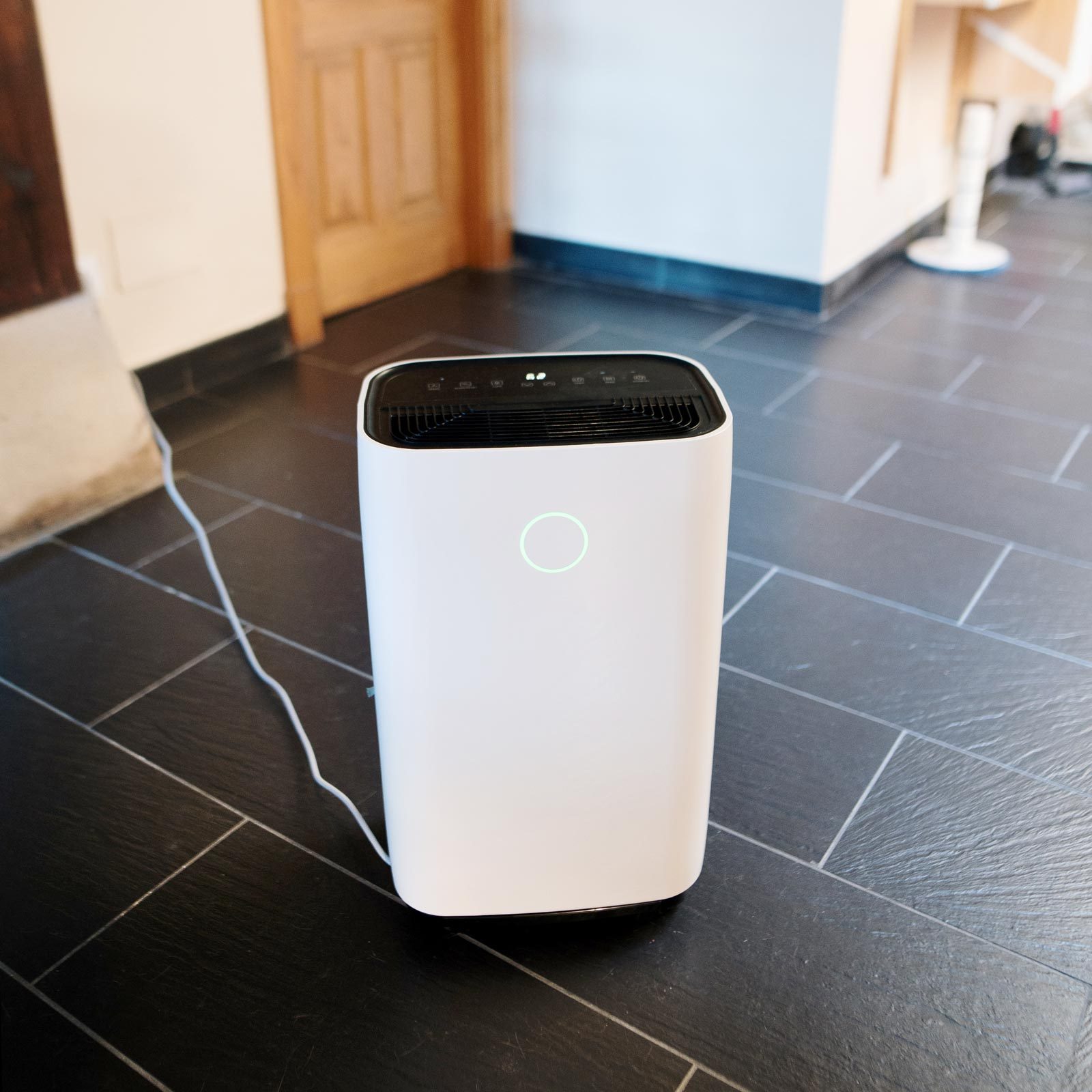 What Does a Dehumidifier Do?