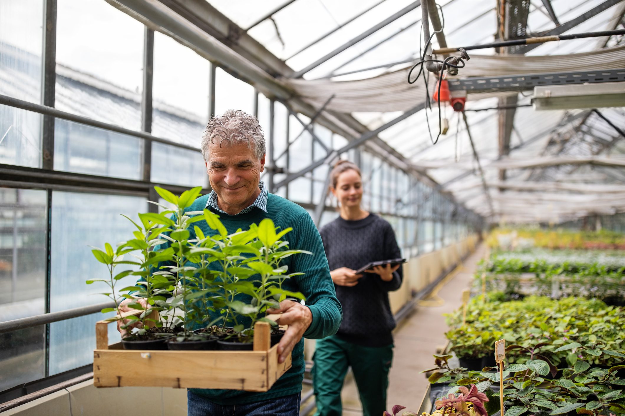 Male customer purchasing plants from garden center