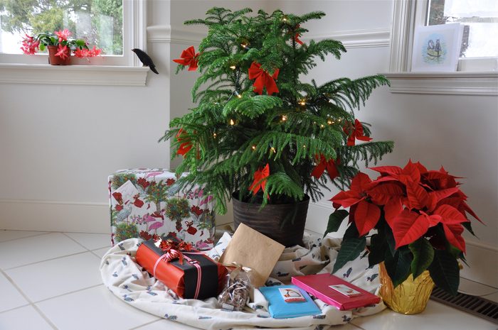 Christmas Tree And Gifts At Home