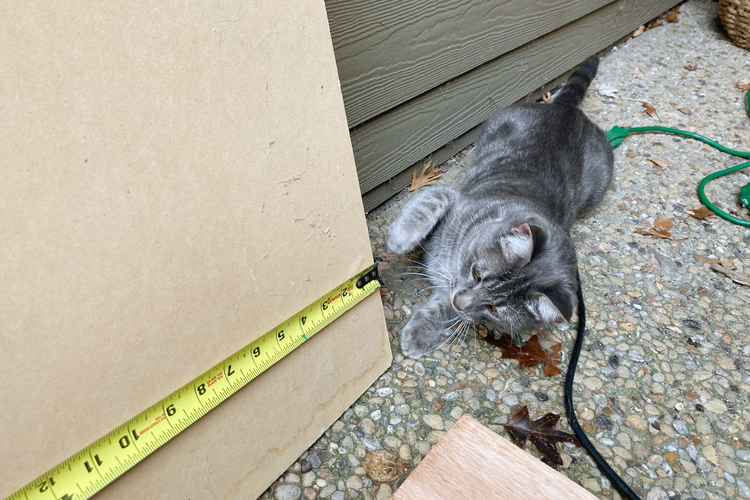 Diy Cat Tree And Towerstep 6 Cat Tree Measure Shelves W Cat Ally Childress For Fhm Jvedit