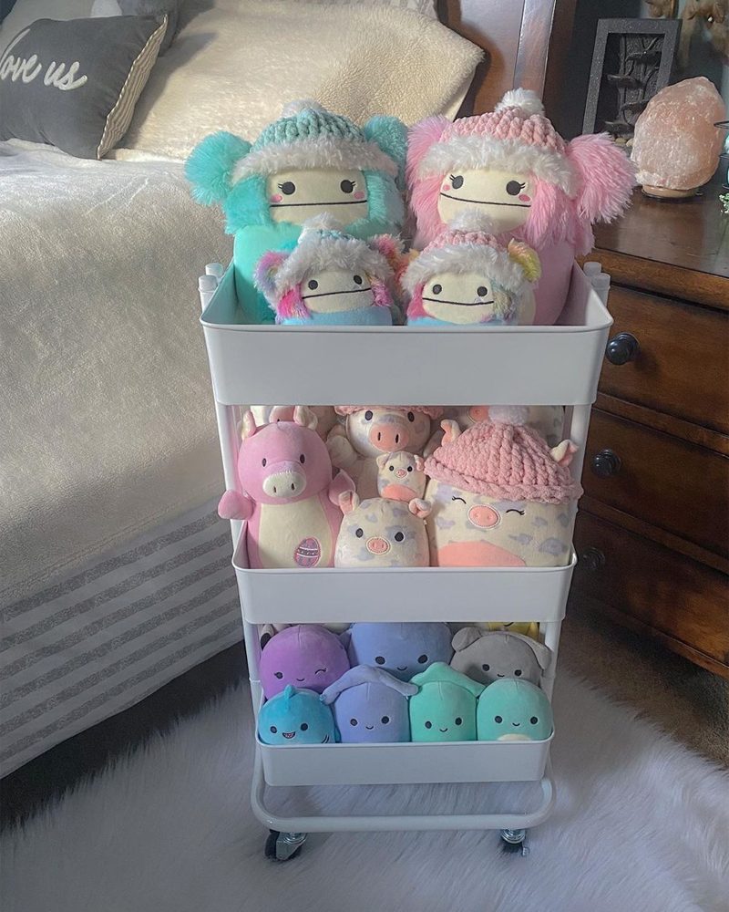 Utility Cart Courtesy @emilyssquishgram Via Instagram