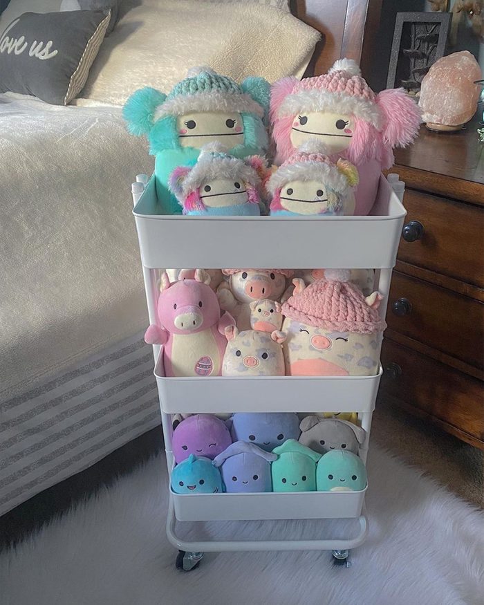 Utility Cart Courtesy @emilyssquishgram Via Instagram