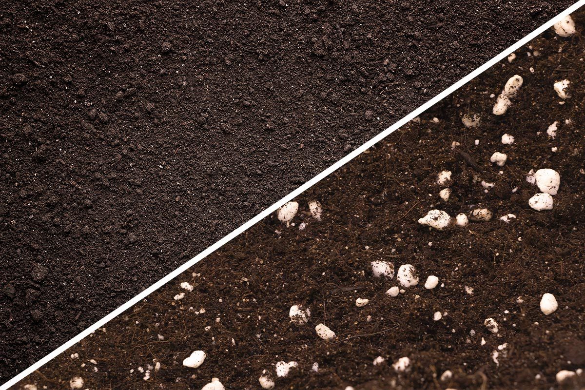 Garden Soil vs. Potting Soil: What’s the Difference?