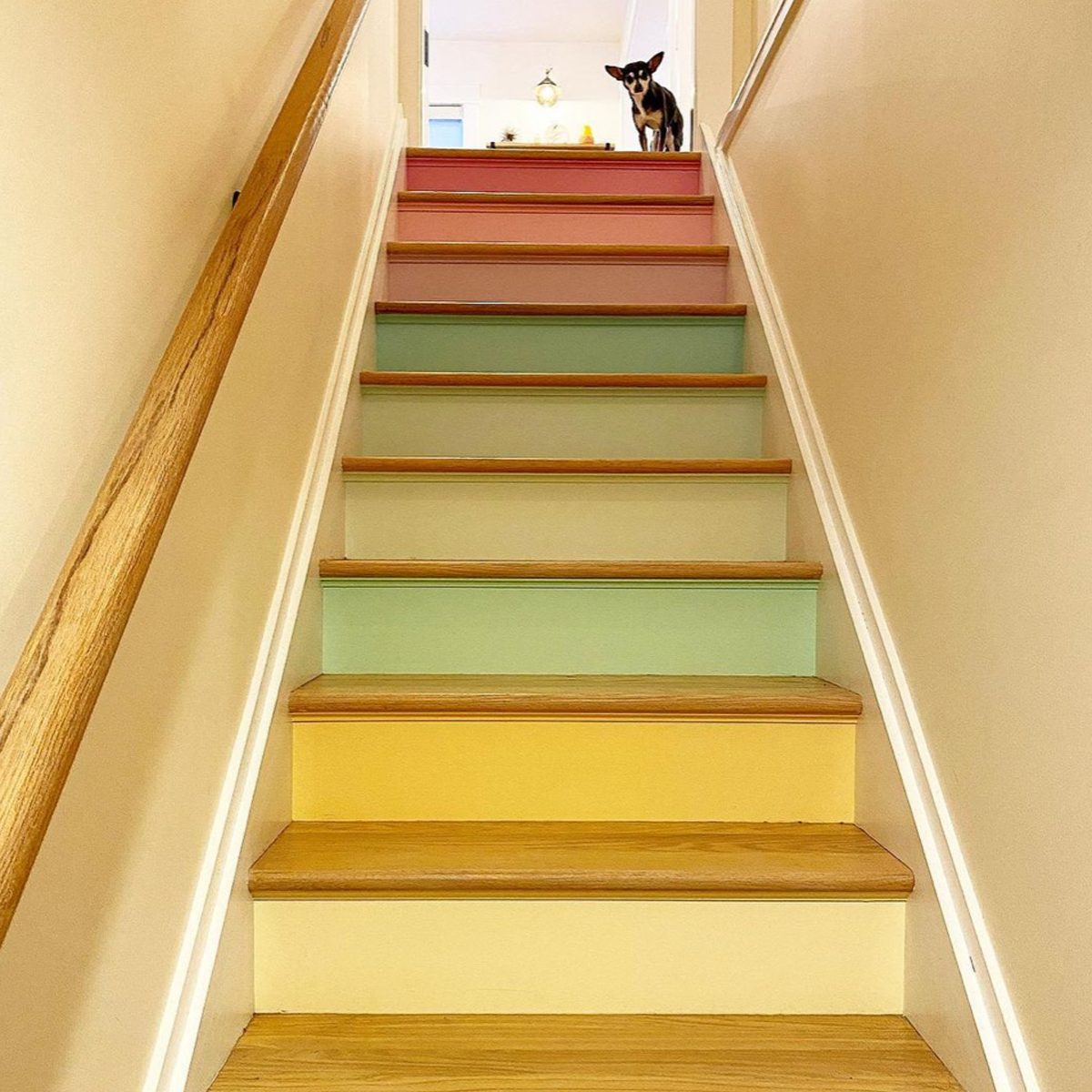 Paint The Risers Via @happyhivedesign Instagram