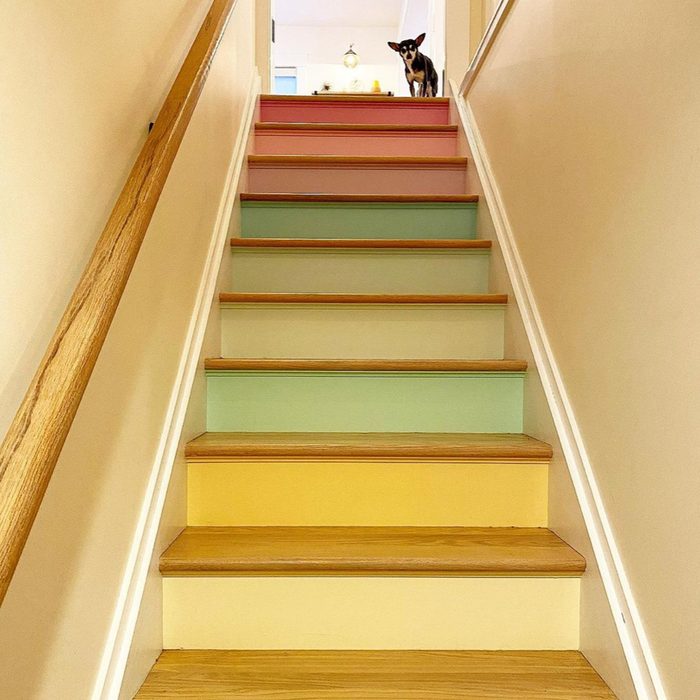 Paint The Risers Via @happyhivedesign Instagram