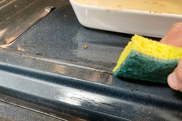 Scrub Oven With Sponge Ally Childress For Fhm Jvedit