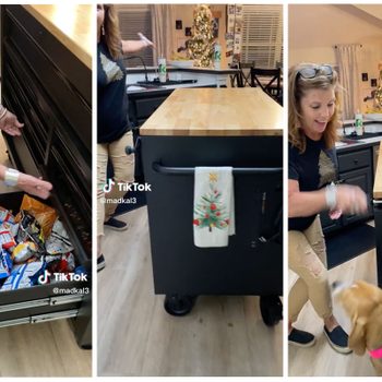 A woman opens a drawer filled with snacks in a kitchen, while a dog approaches her, and a decorated Christmas tree is visible in the background.
