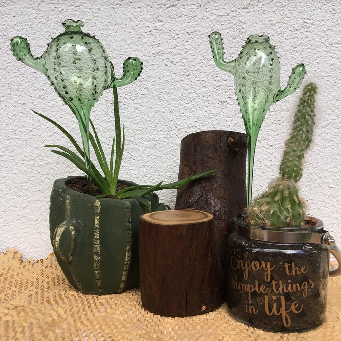 Two glass cactus-shaped decorations stand in green pots, surrounded by natural wood elements and a jar with an inspirational quote, against a textured white wall.