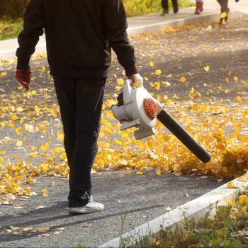 A person operates a leaf blower, blowing yellow leaves off a paved path in a sunny park, while others walk in the background.