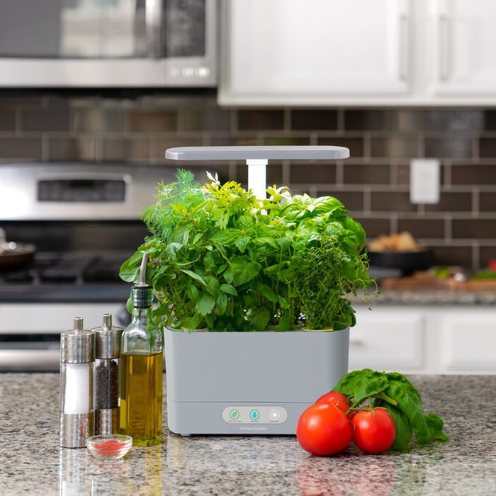 A countertop herb garden grows green plants under a light, surrounded by oil, vinegar, spices, and fresh tomatoes, in a modern kitchen setting.
