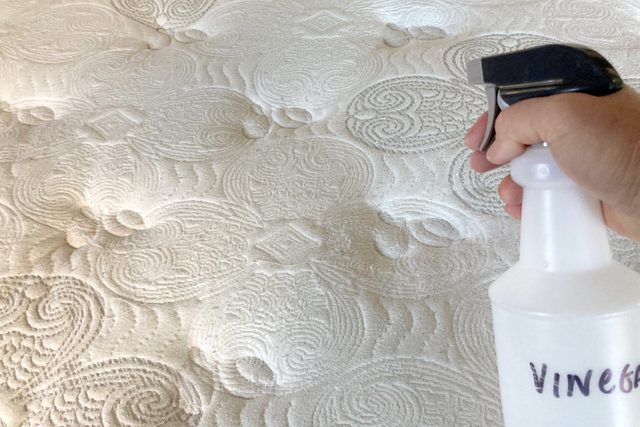 Mattress Spray W Vinegar 2 Ally Childress For Fhm Jvedit