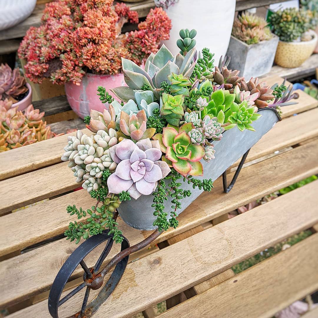 Tabletop Wheelbarrow Planter