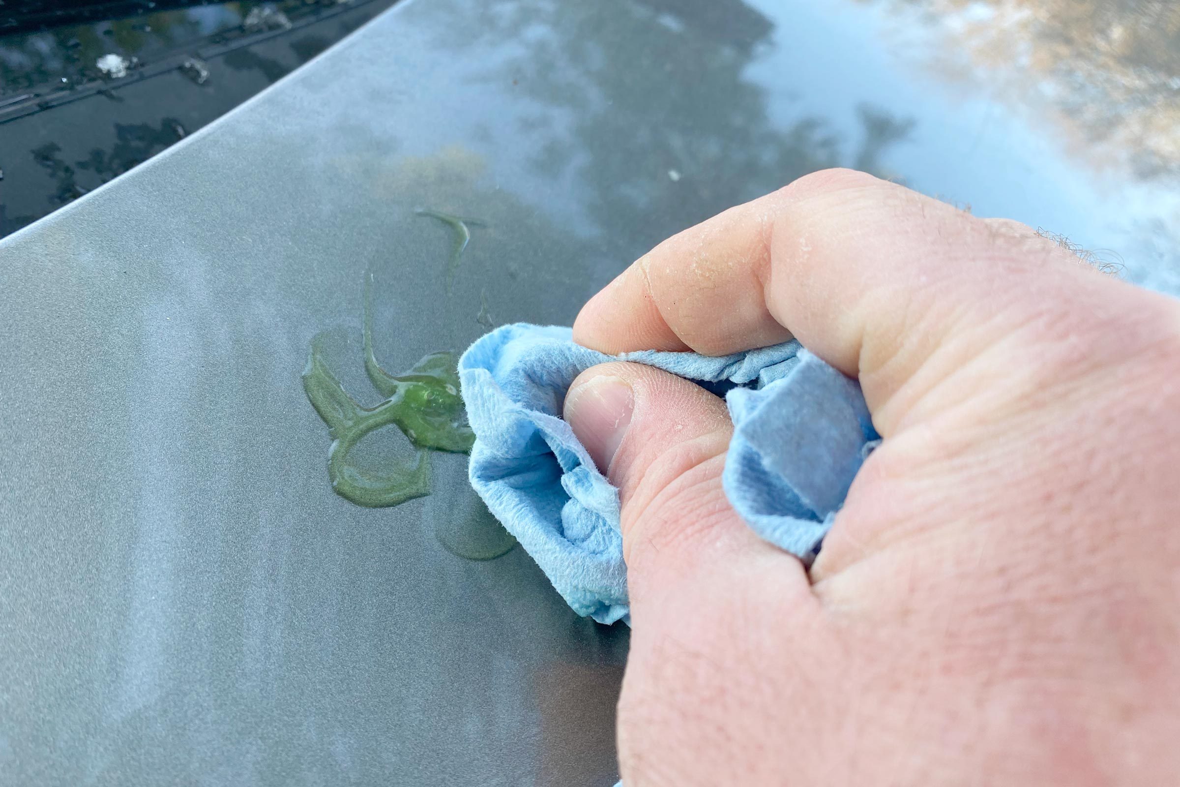 using a blue rag to wipe the sap spot