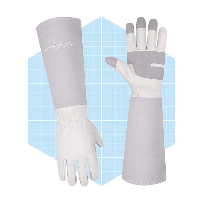 Gloves made for gardening, featuring gray and white materials, await use against a light blue grid background. One glove is fully displayed, while the other is half visible.