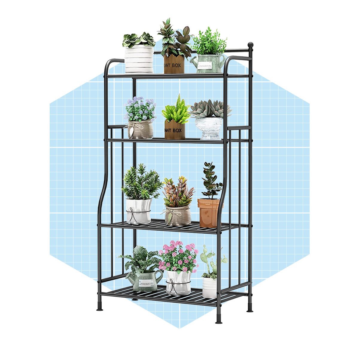 A black metal shelf displays various potted plants, arranged neatly across four shelves, against a light blue grid-patterned background.