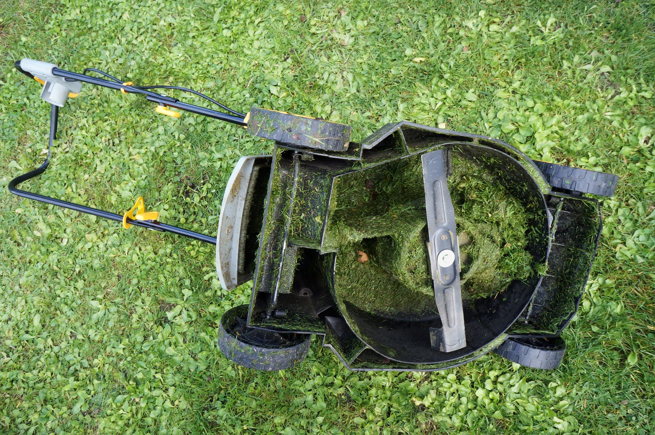 A lawn mower sits atop freshly cut grass, its interior filled with clippings, while its handle and cables extend outward, indicating recent use.