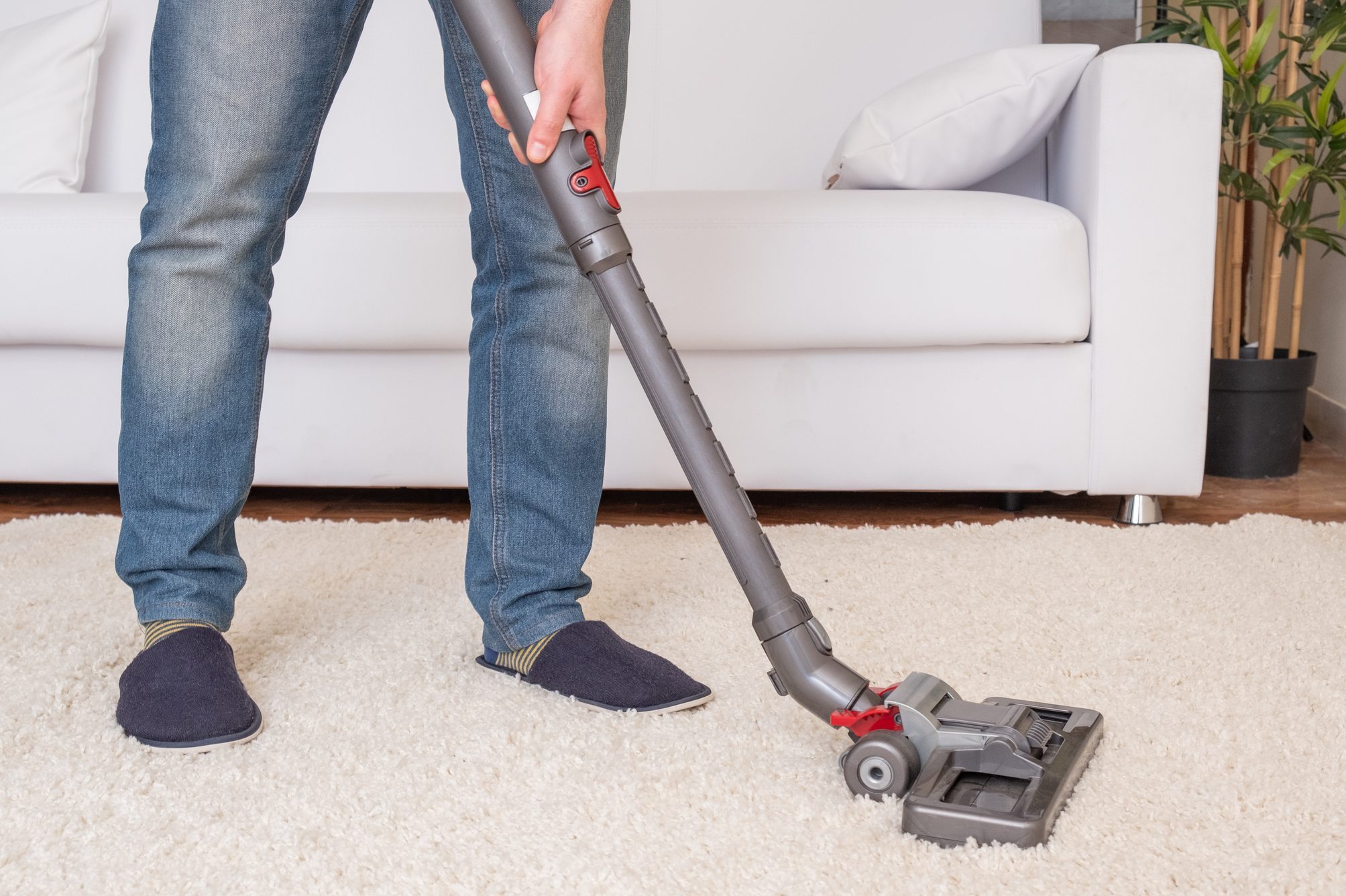 A person vacuums a plush rug in a living room, standing beside a white couch and a potted plant, wearing blue jeans and dark slippers.