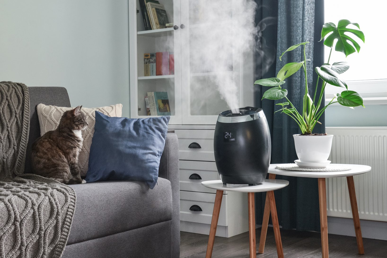 A humidifier emits steam on a side table while a cat sits on a gray couch, surrounded by plants and books in a cozy living room.