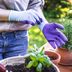 7 Best Gardening Gloves For 2025