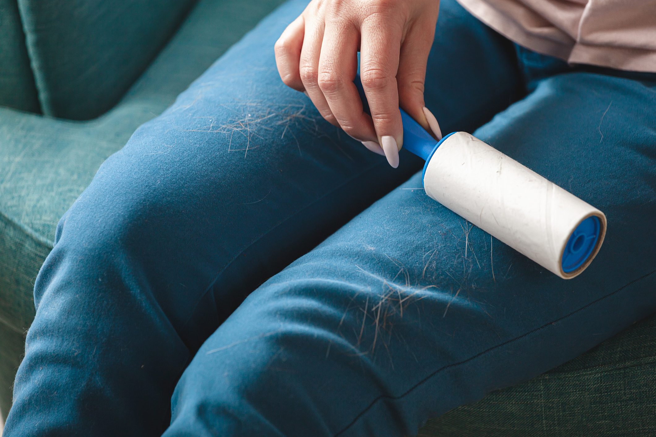 A hand holds a lint roller, removing pet hair from blue pants while resting on a textured green couch.