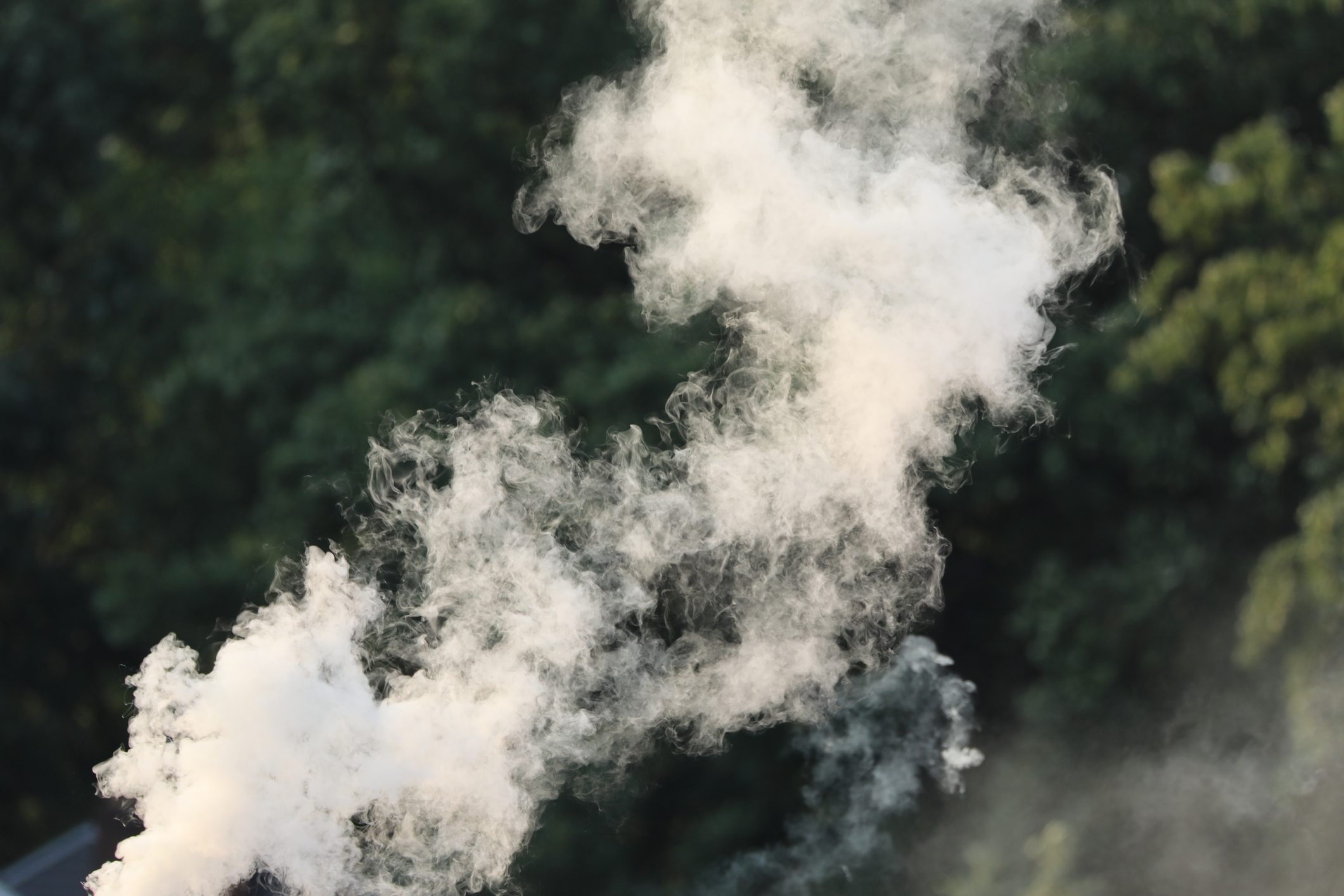 White smoke billows upward, swirling and dissipating in the air, set against a backdrop of lush, green foliage.