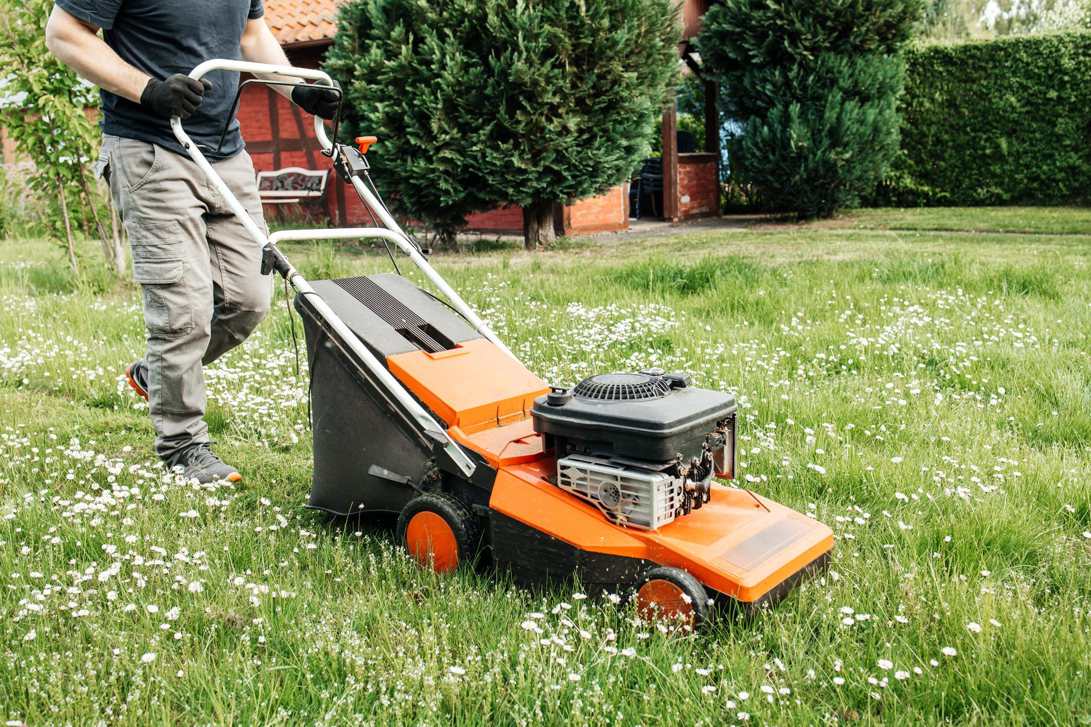A person pushes a lawn mower through a grassy area dotted with small flowers, near a house and surrounded by tall bushes.