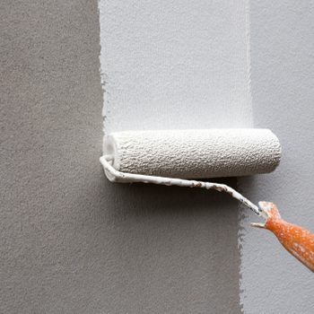 A paint roller is applying white paint to a gray wall, creating a fresh, smooth finish in a home improvement setting.