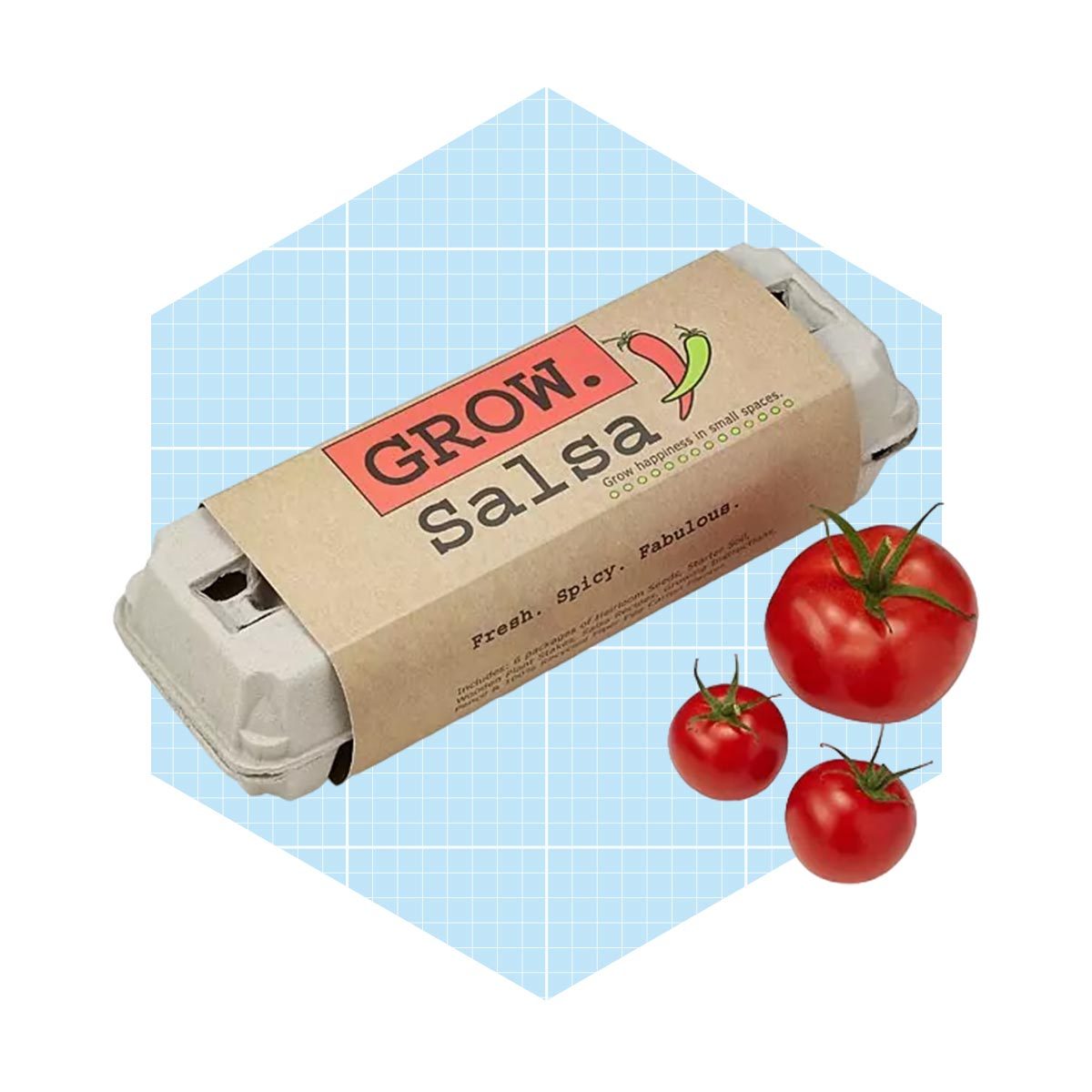 A packaged salsa kit labeled "GROW" rests beside three ripe tomatoes, set against a light blue grid background, suggesting a gardening or cooking theme.
