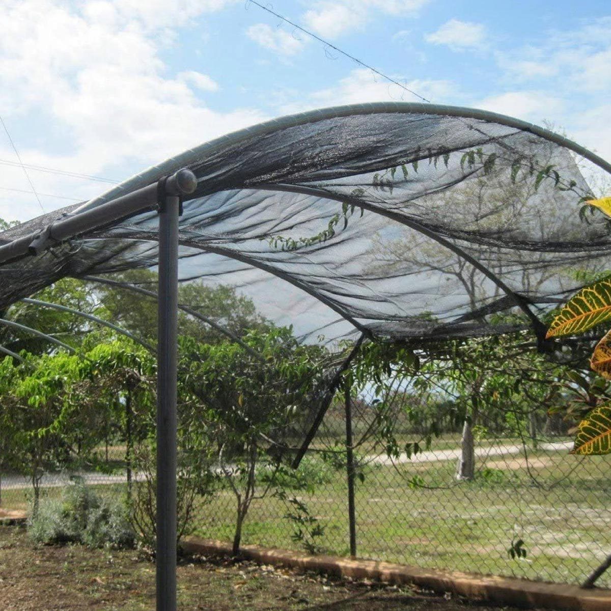 A curved, black netting structure supports climbing plants while shielding them from the sun; the setting features open greenery and a fenced area in the background.