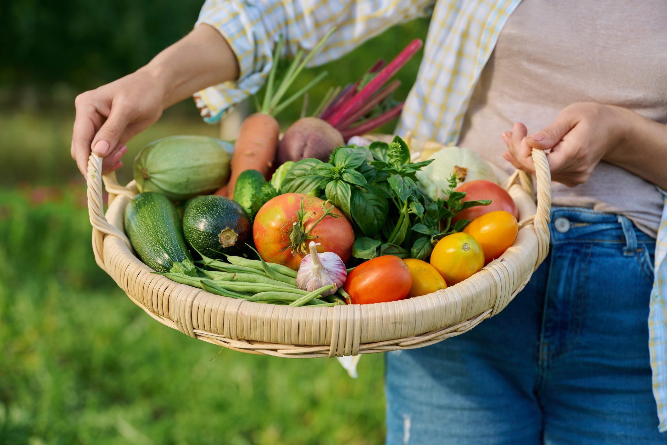 Close up basket of fresh raw organic vegetables in farmer hands