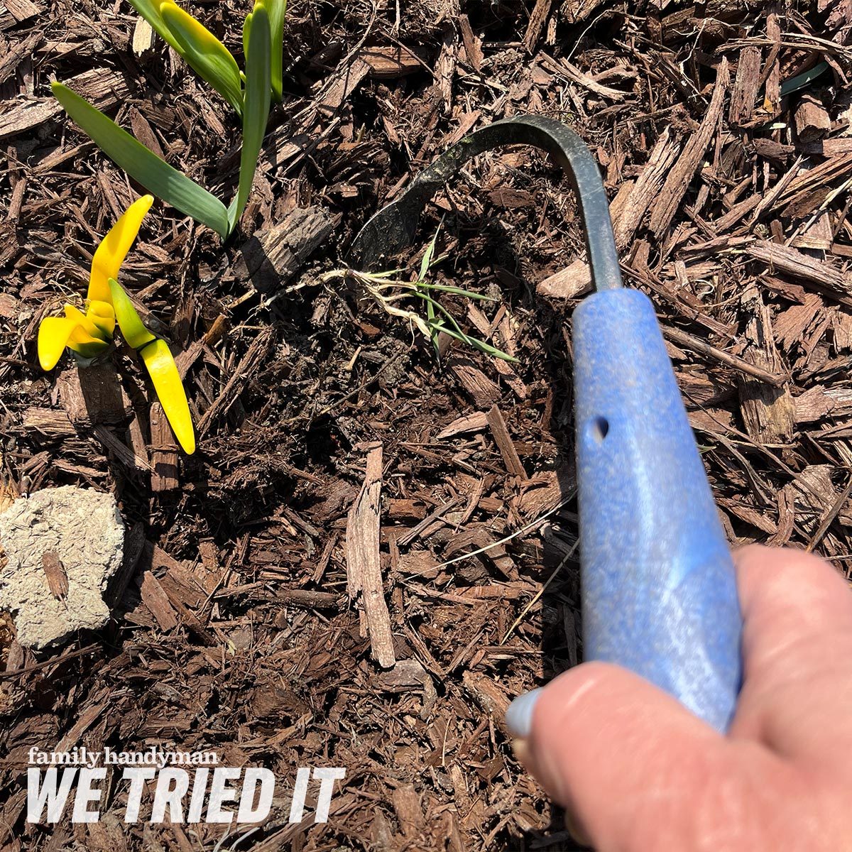 I Tried the CobraHead Weeder and It Makes Gardening So Much Easier