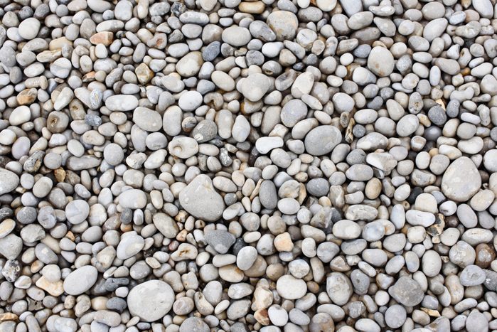 Sea stones. Pebbles. Nautical background. Texture nature background from sea pebbles.