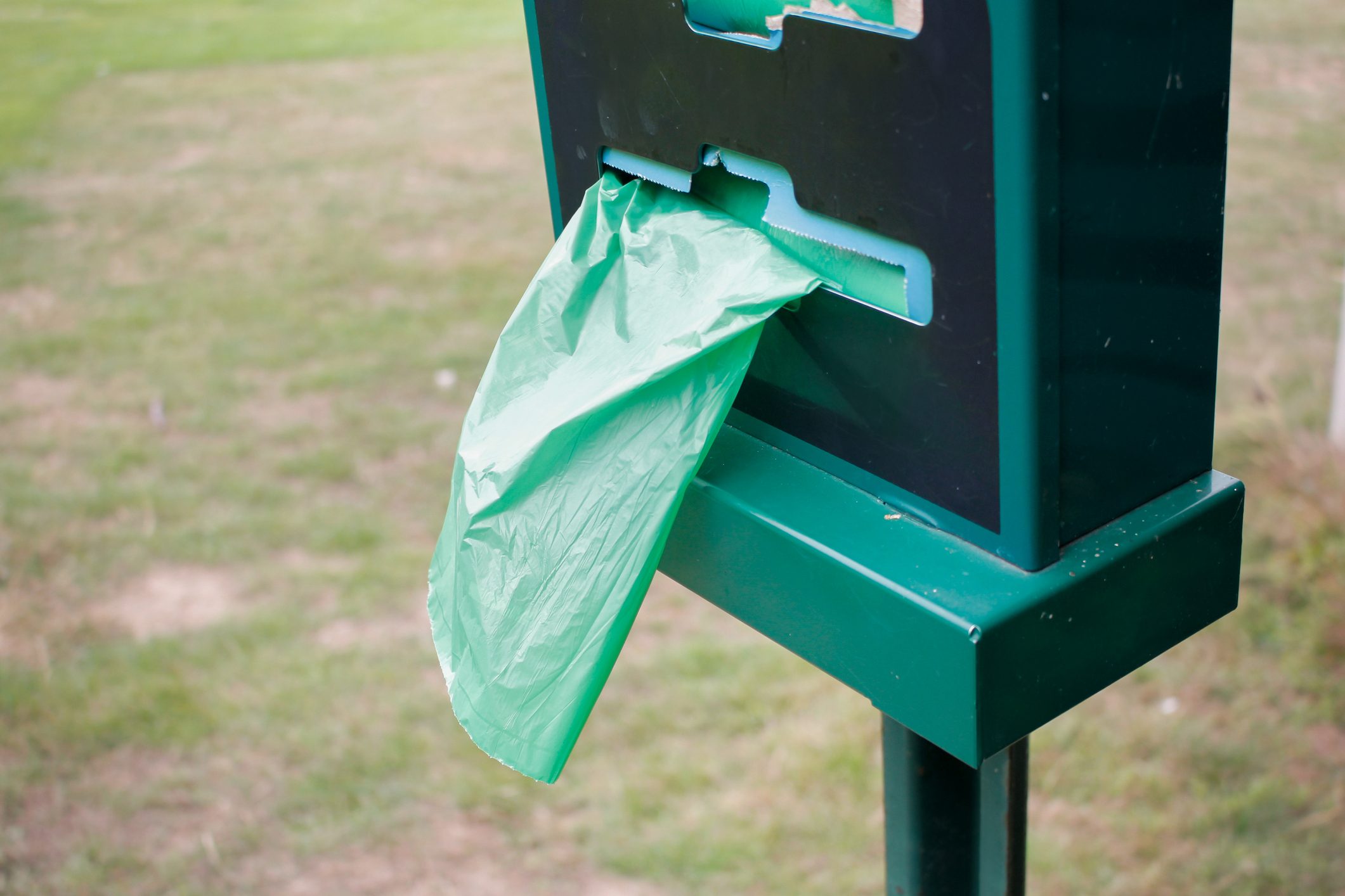 dog poop bag dispenser