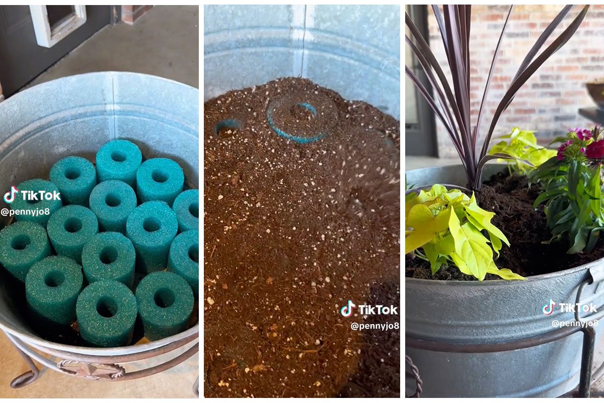 Pool Noodle Planter Hack Via @PennyJo8 TikTok