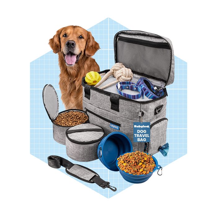 A golden retriever sits beside a grey dog travel bag filled with food, toys, and accessories, set against a light blue grid background.