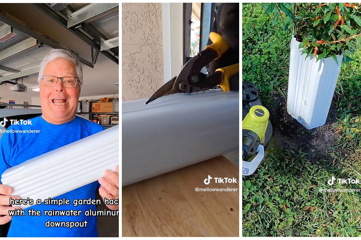 This Weed Wacker Hack Offers Protection for Your Plants