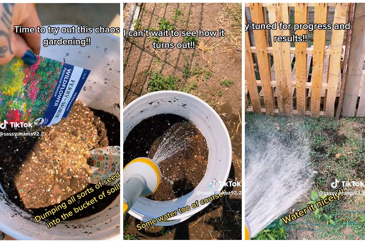 Chaos Gardening: The Wild Gardening Trend Everyone’s Trying