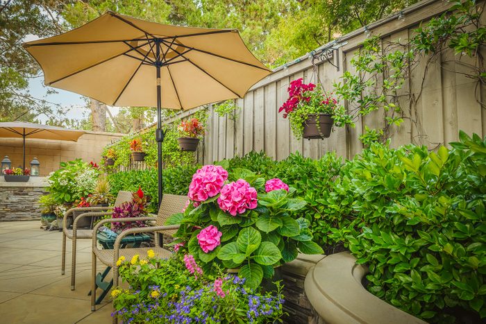 Backyard Garden Area