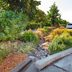 What Exactly Is a Bioswale?