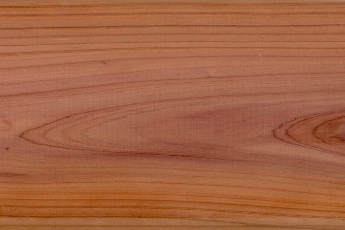 Western red cedar wood, Thuja plicata