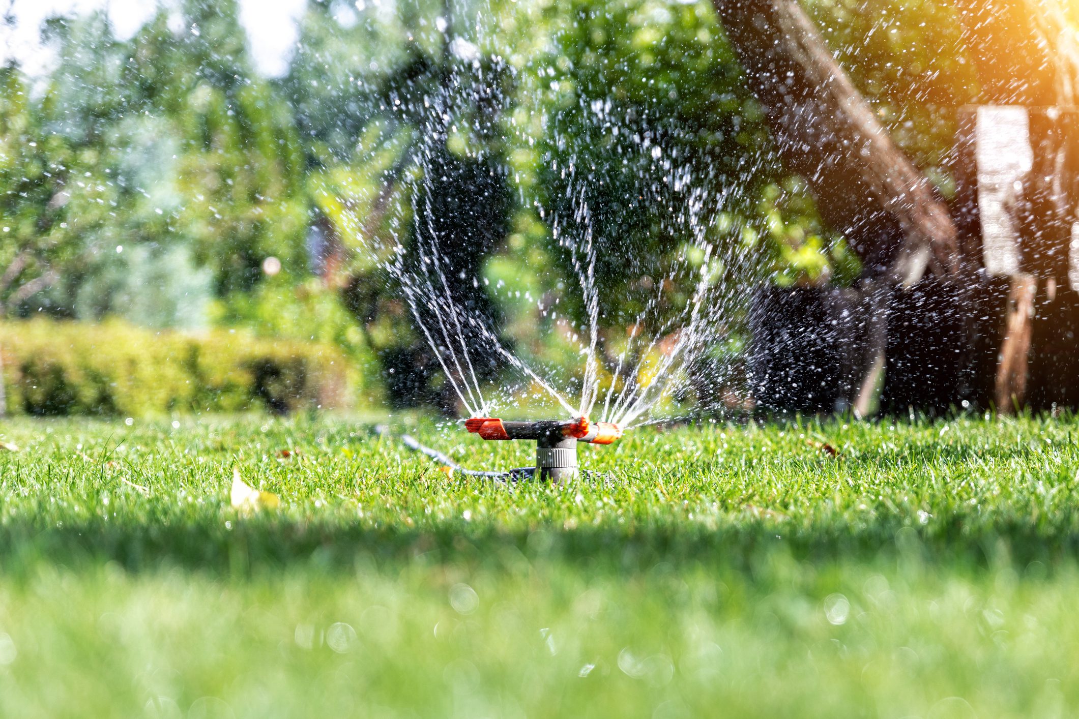 A sprinkler sprays water over a green lawn, creating droplets that shimmer in sunlight, with blurred trees and bushes in the background.