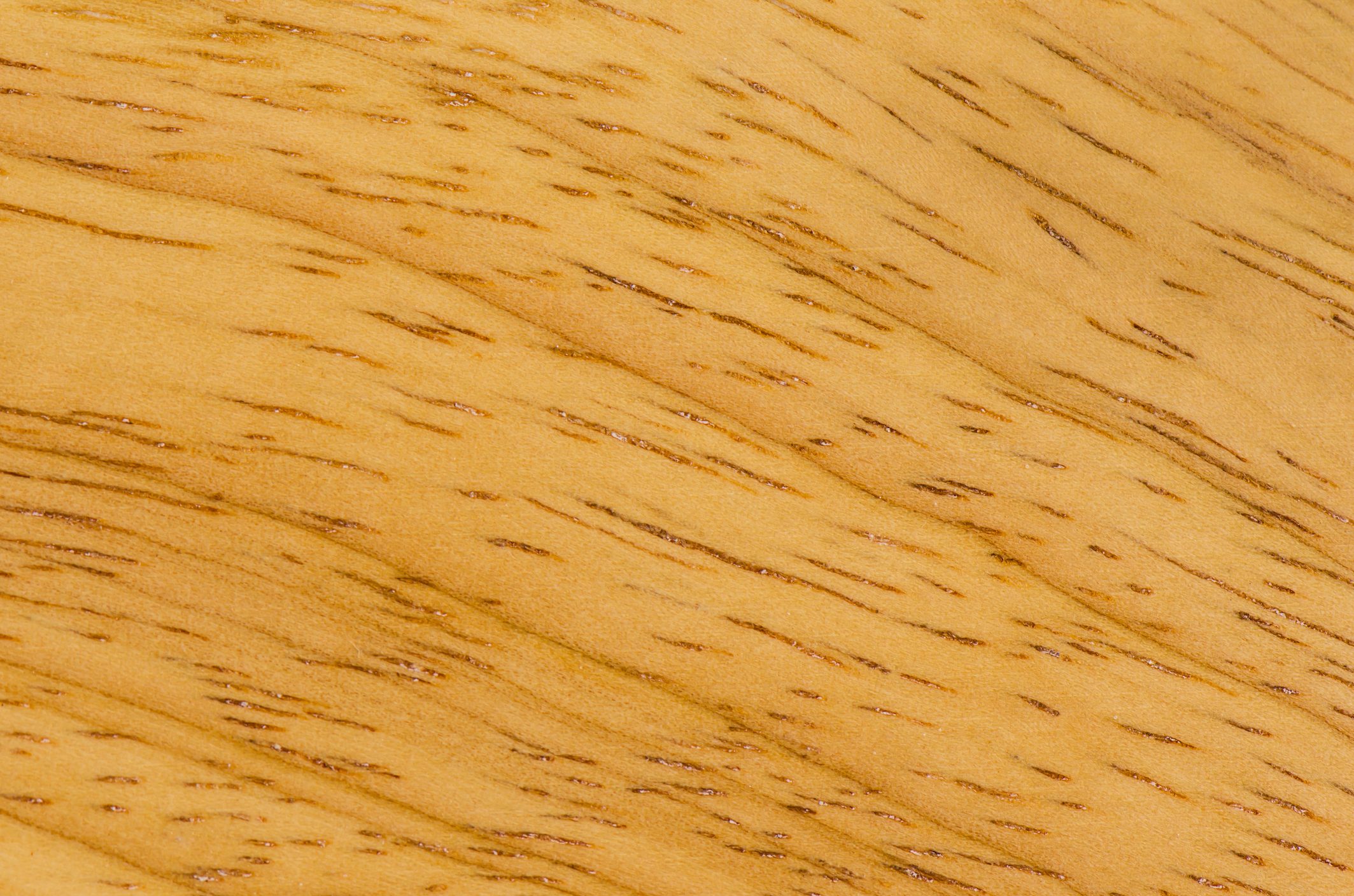 Wood texture or background, natural wood pattern ,close-up.
