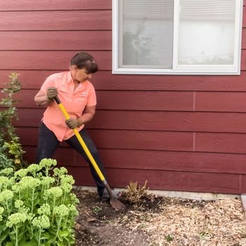 A woman is digging soil with a shovel beside a house, surrounded by green plants and a wooden surface.