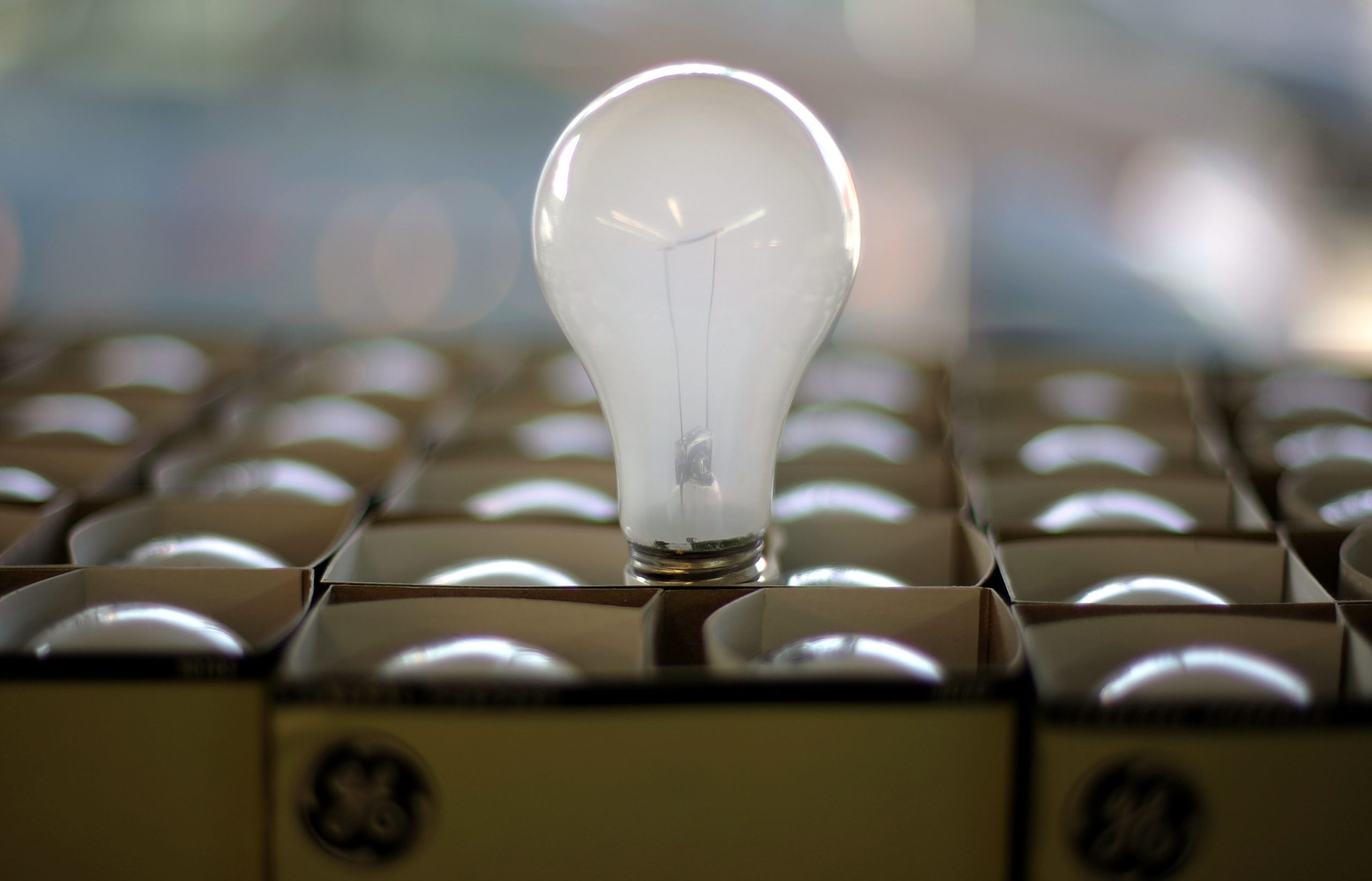 What Does the Ban on Incandescent Light Bulbs Mean for You?