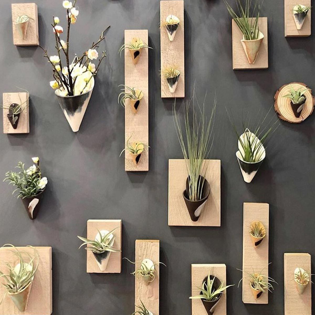 10 Ideas for Decorating Your Walls with Plants