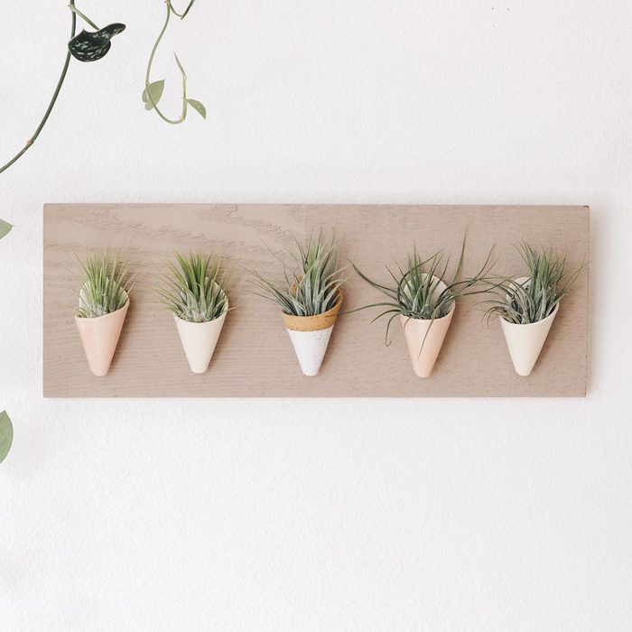 Plant Wall Planters