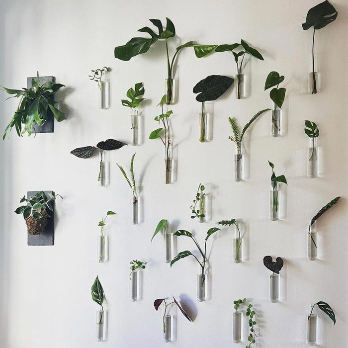 Propagation Wall